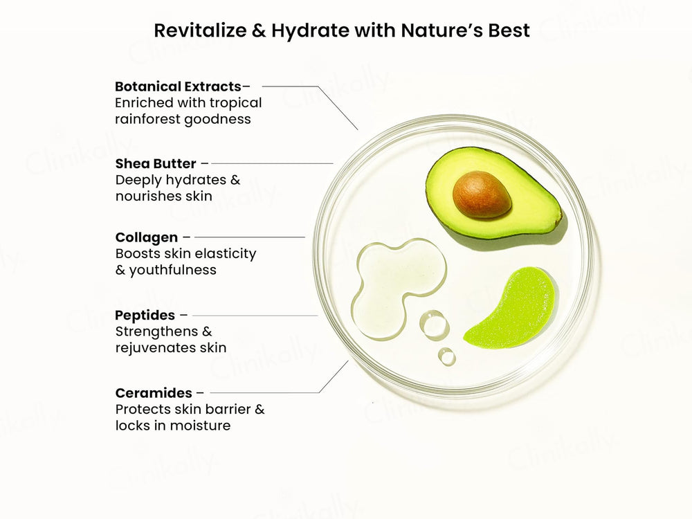 Wild Oak Tropical Rainforest Shea Butter Sugar Body Scrub