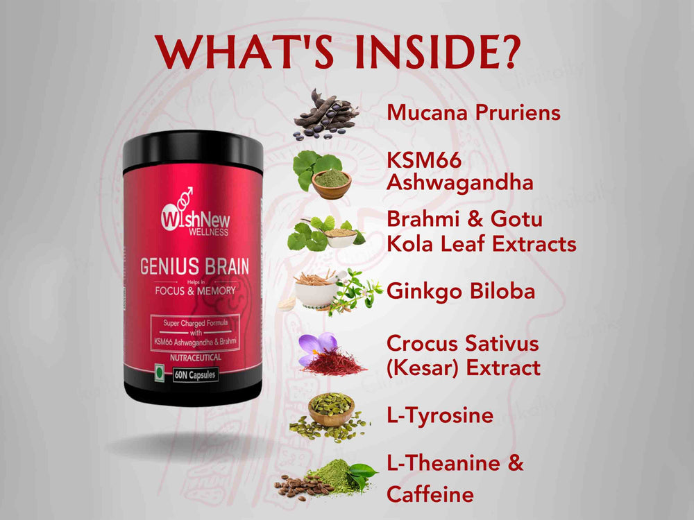 WishNew Wellness Genius Brain Focus & Memory Capsule