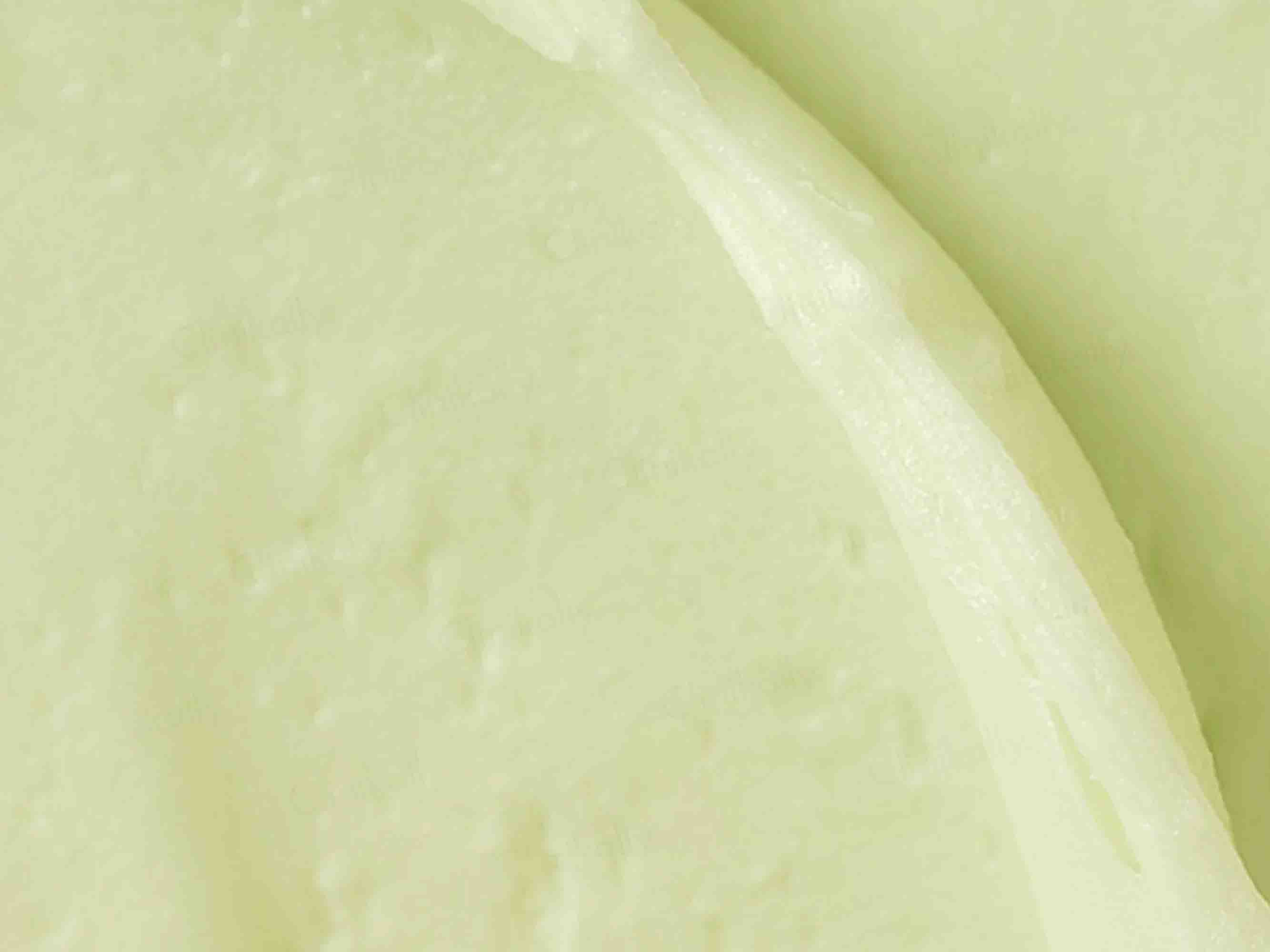 Beauty of Joseon Mugwort + Camelia Matte Sunstick SPF 50+ PA++++