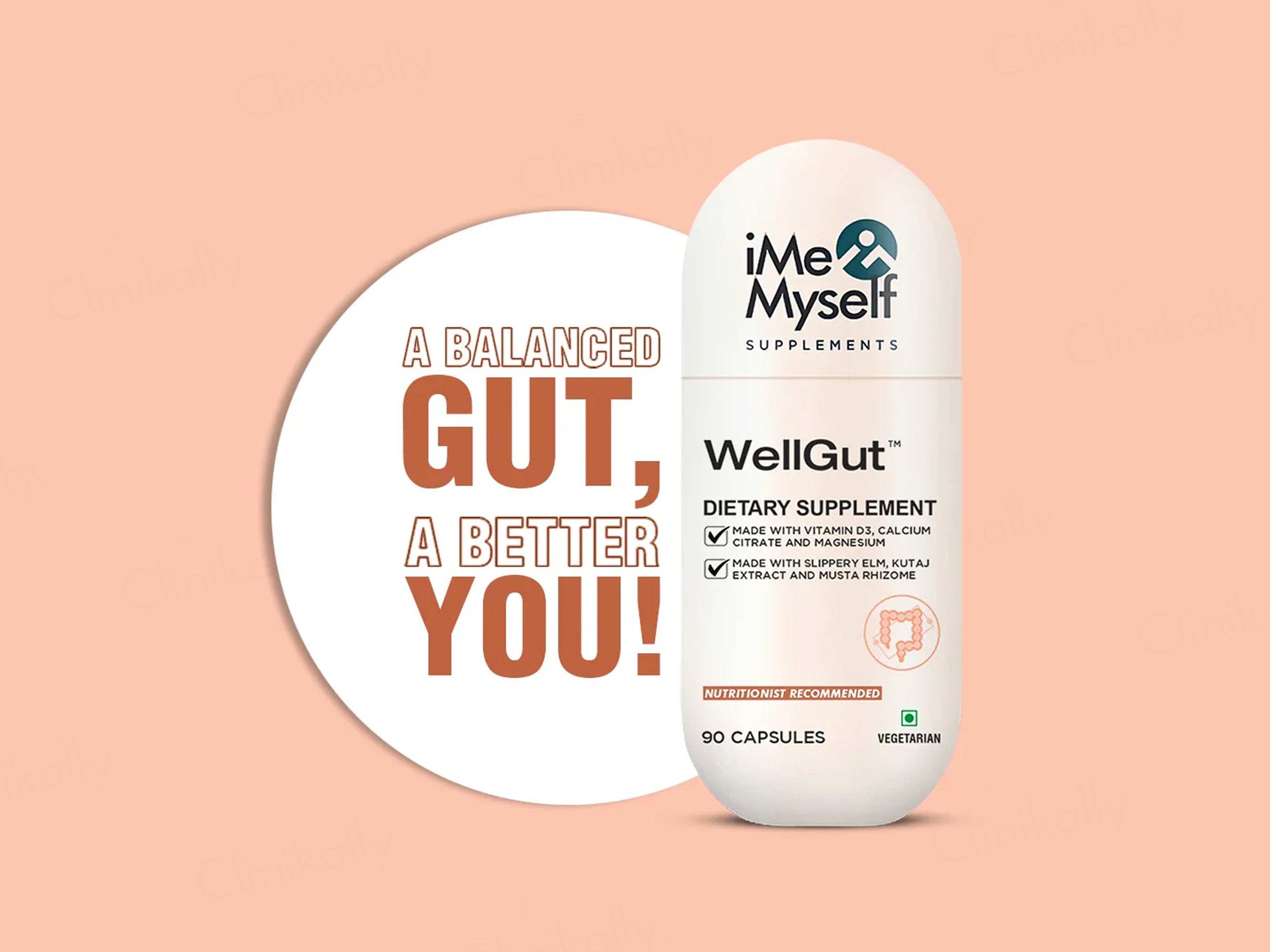 iMeMyself Well Gut Dietary Supplement Vegetarian Capsule