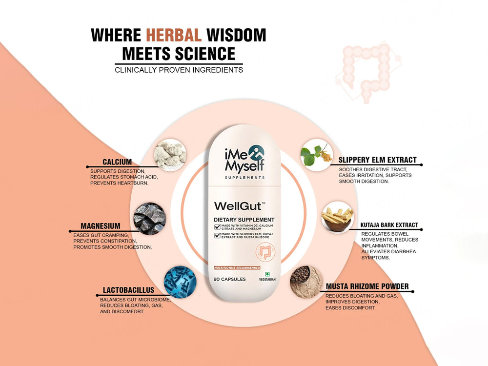 iMeMyself Well Gut Dietary Supplement Vegetarian Capsule