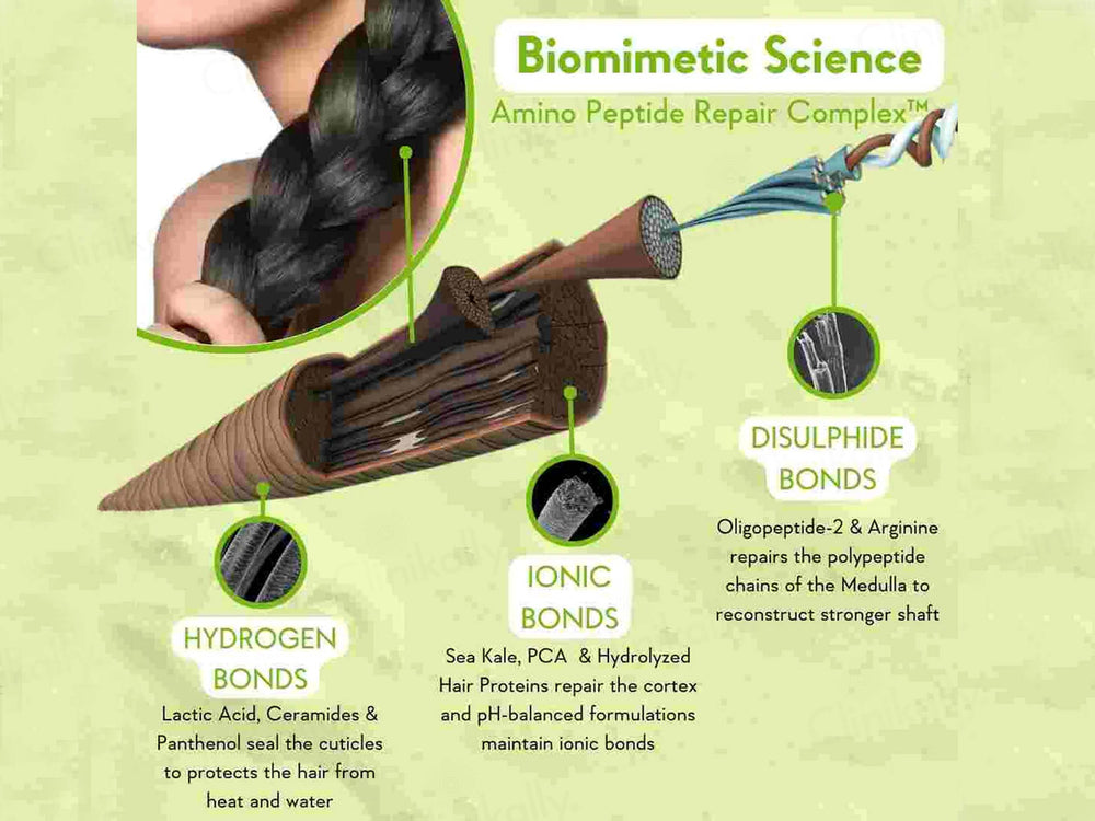 WishCare Triple Bond Repair Shampoo