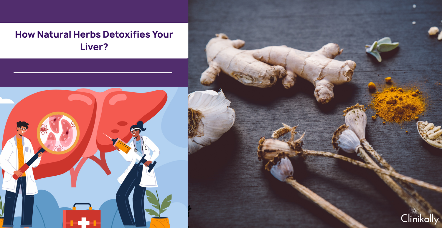How Natural Herbs Detoxifies Your Liver?