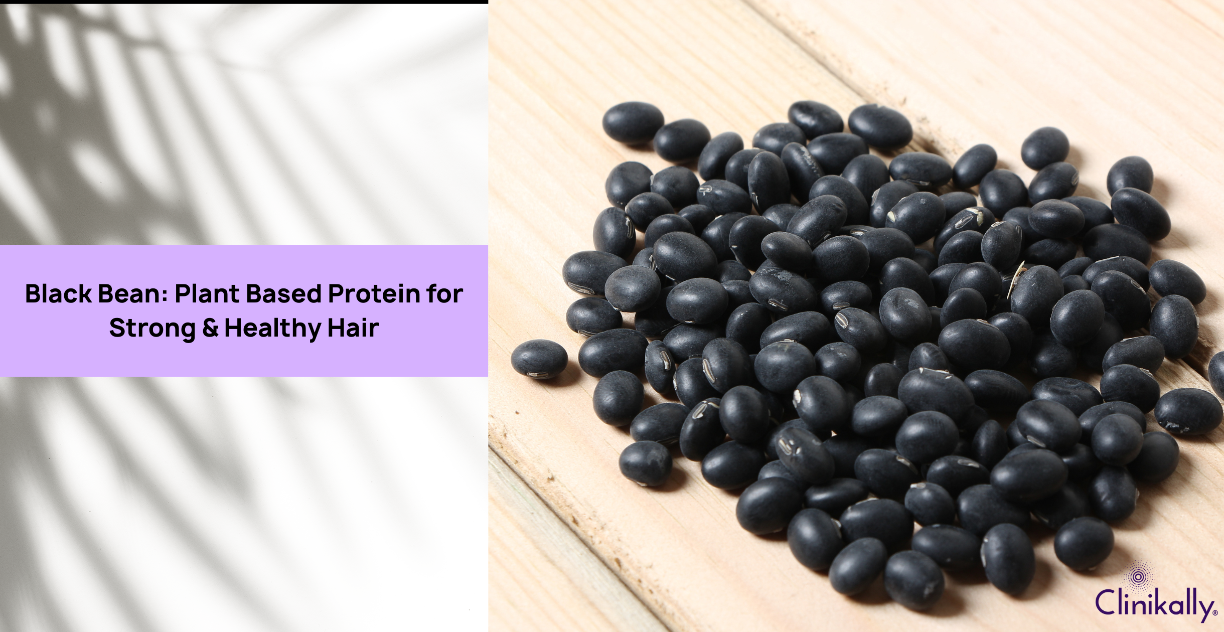 Black Bean: Plant Based Protein for Strong & Healthy Hair