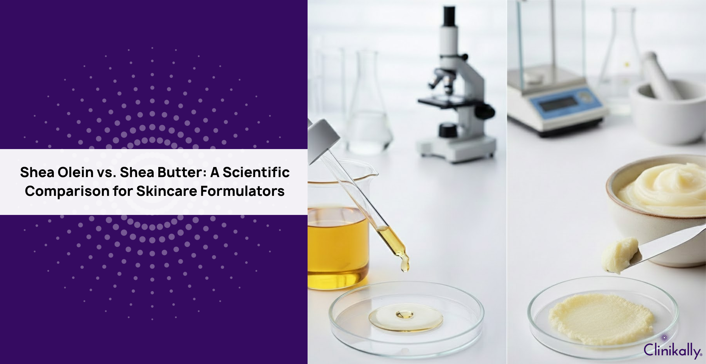 Shea Olein vs. Shea Butter:A Scientific Comparison for Skincare Formulators