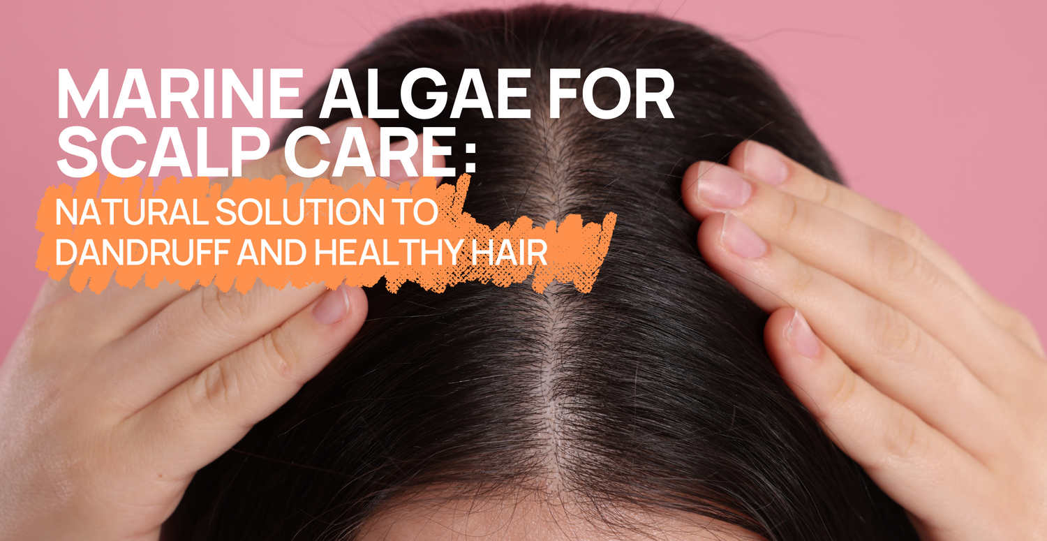 Marine Algae for Scalp Care: Natural Solution to Dandruff and Healthy Hair