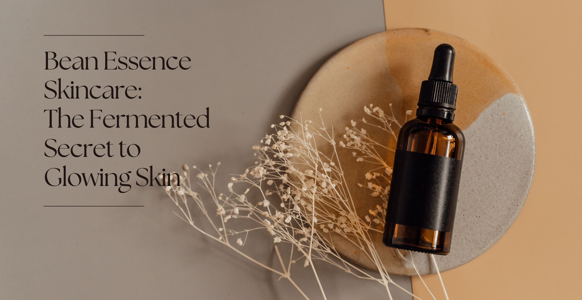 Bean Essence Skincare: The Fermented Secret to Glowing Skin