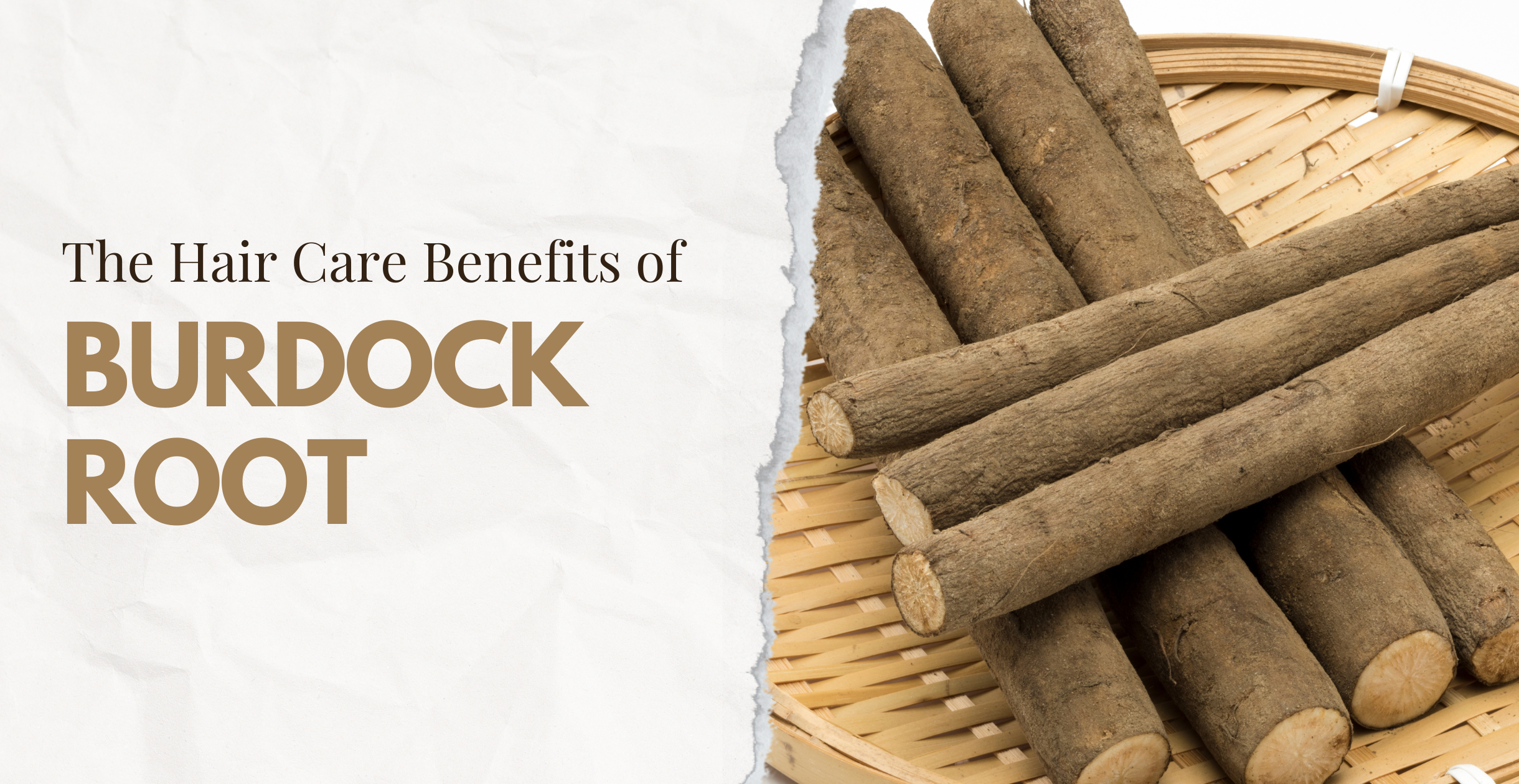 The Hair Care Benefits of Burdock Root