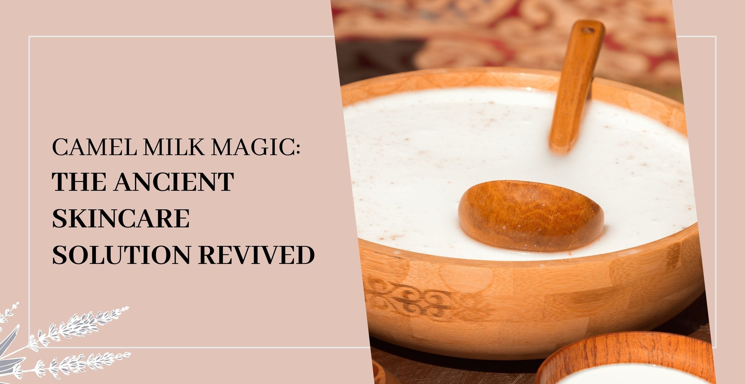 Camel Milk Magic: The Ancient Skincare Solution Revived