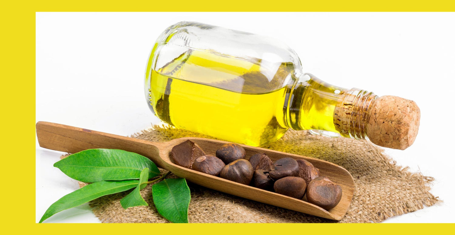 Camellia Oil Unveiled: The Secret to Gorgeous Hair According to Experts