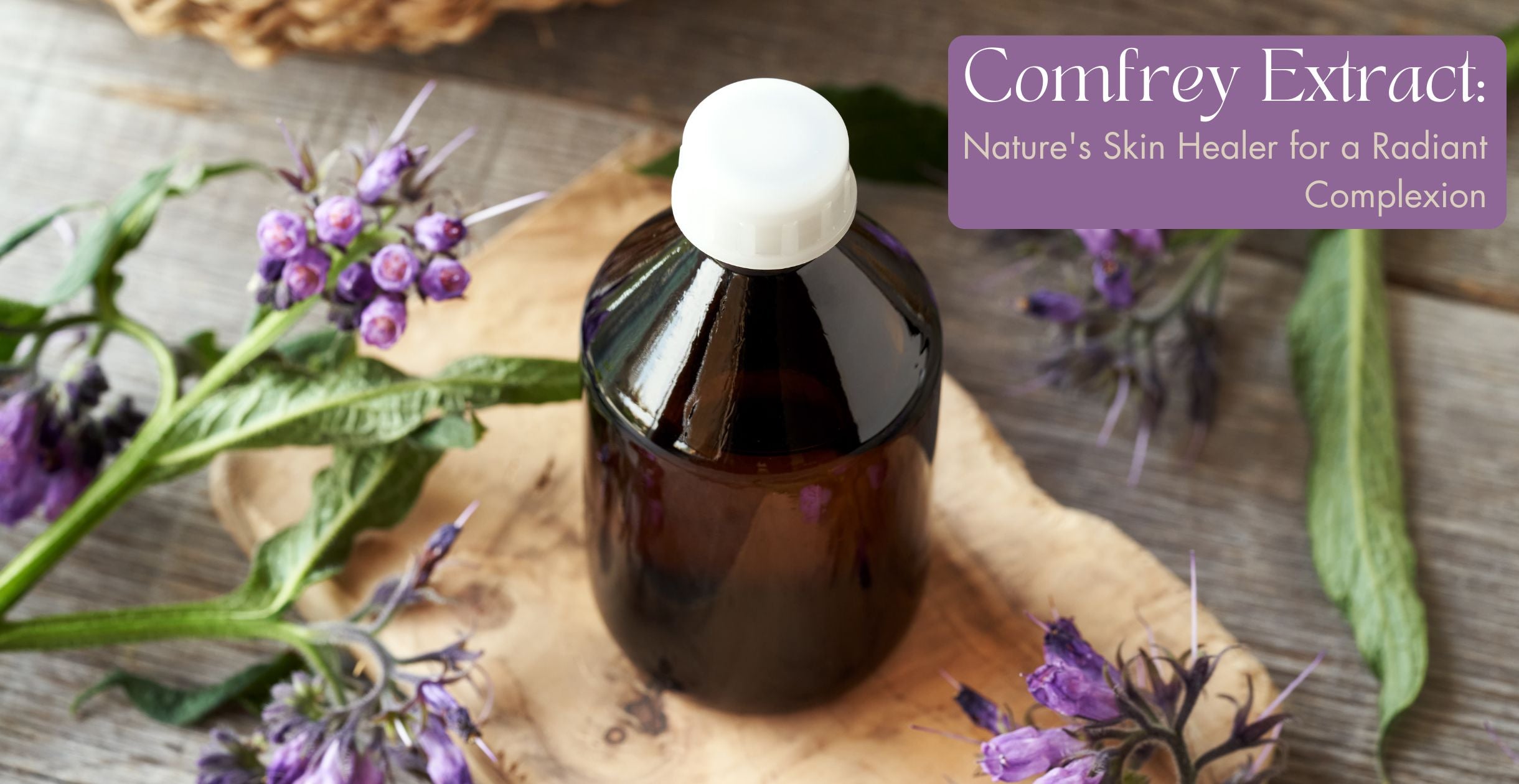 Comfrey Extract: Nature's Skin Healer for a Radiant Complexion