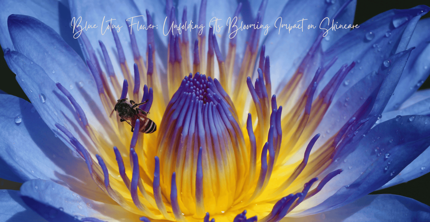 Meditation and Skincare