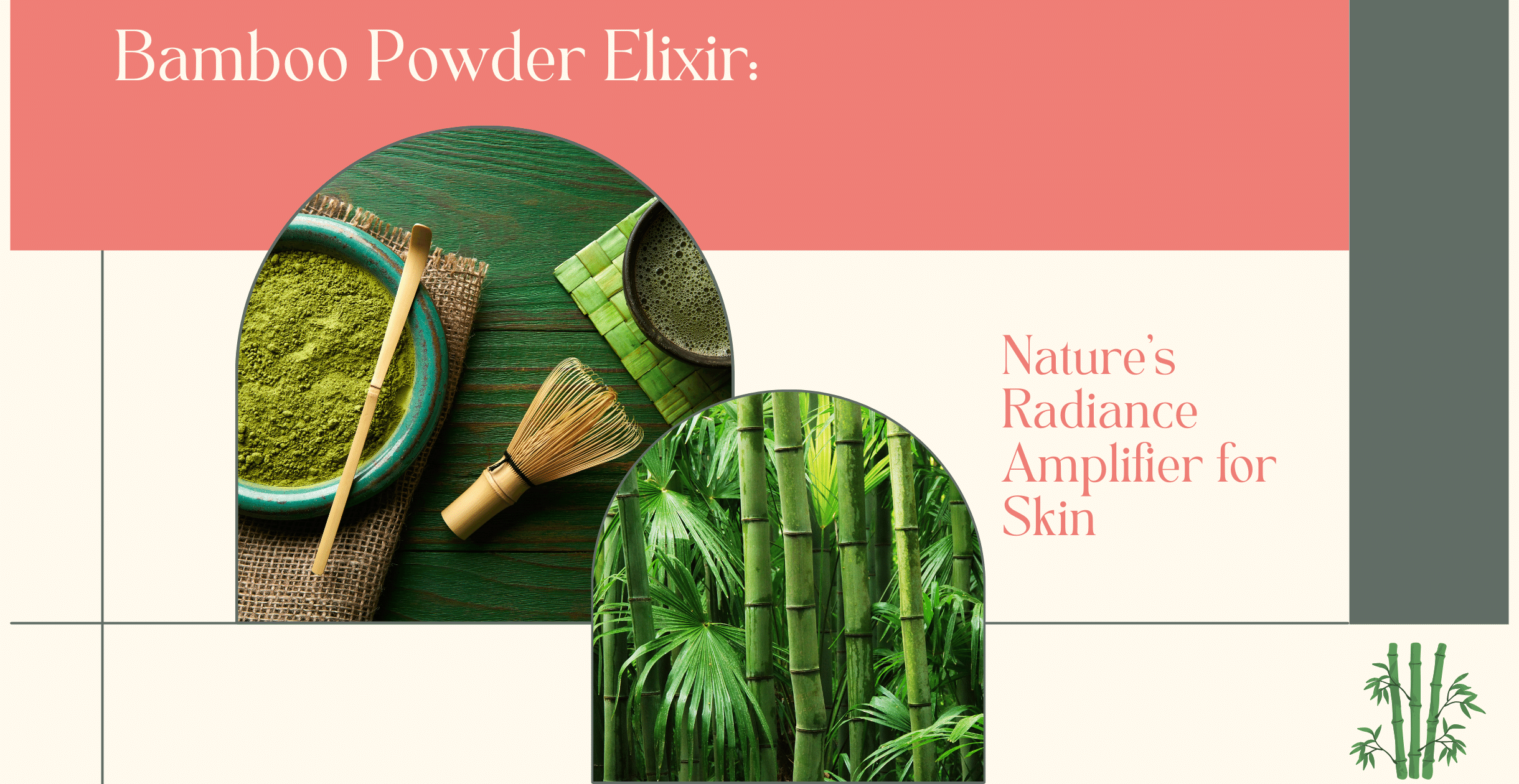 Bamboo Powder Elixir: Nature's Radiance Amplifier for Skin