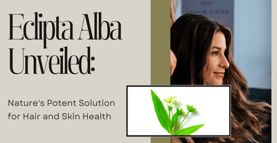 Eclipta Alba Unveiled: Nature's Potent Solution for Hair and Skin Health