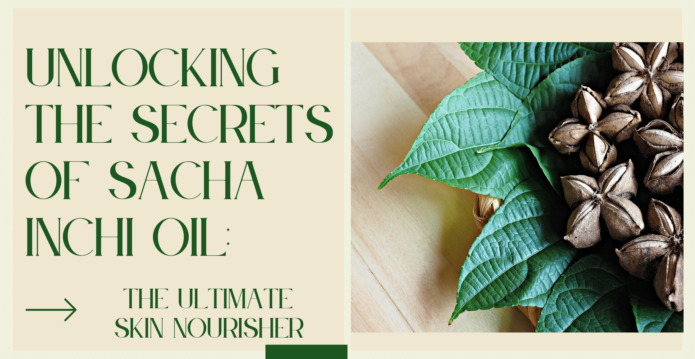 Unlocking the Secrets of Sacha Inchi Oil: The Ultimate Skin Nourisher
