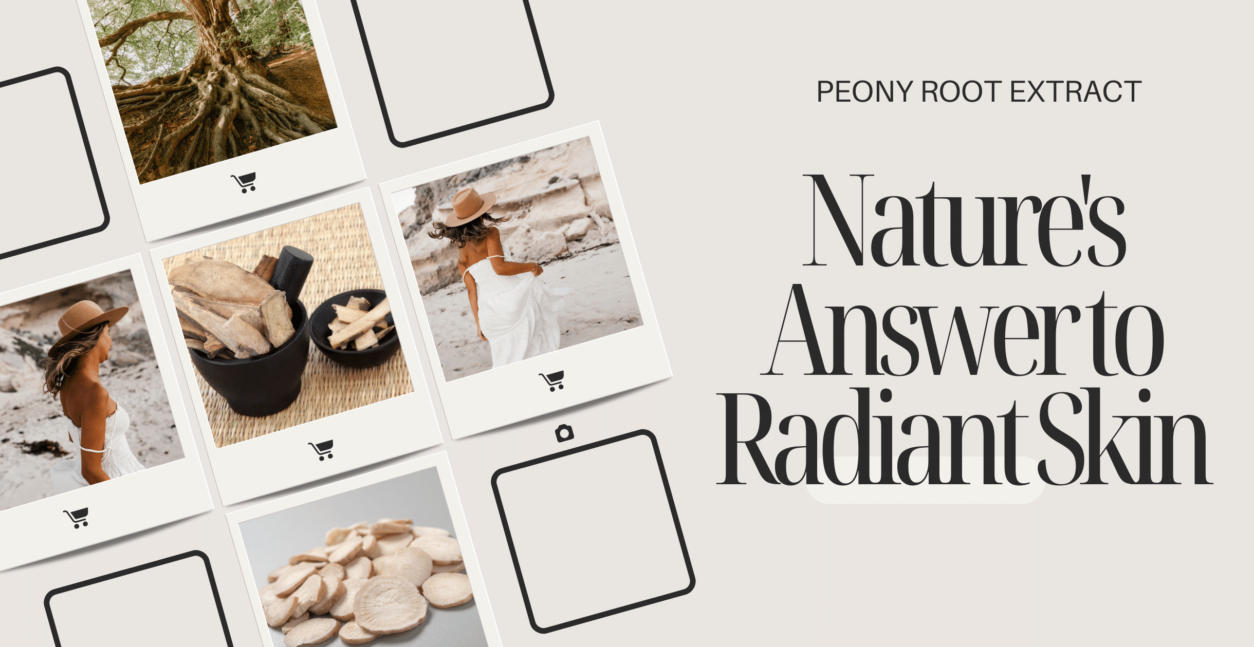 Peony Root Extract: Nature's Answer to Radiant Skin