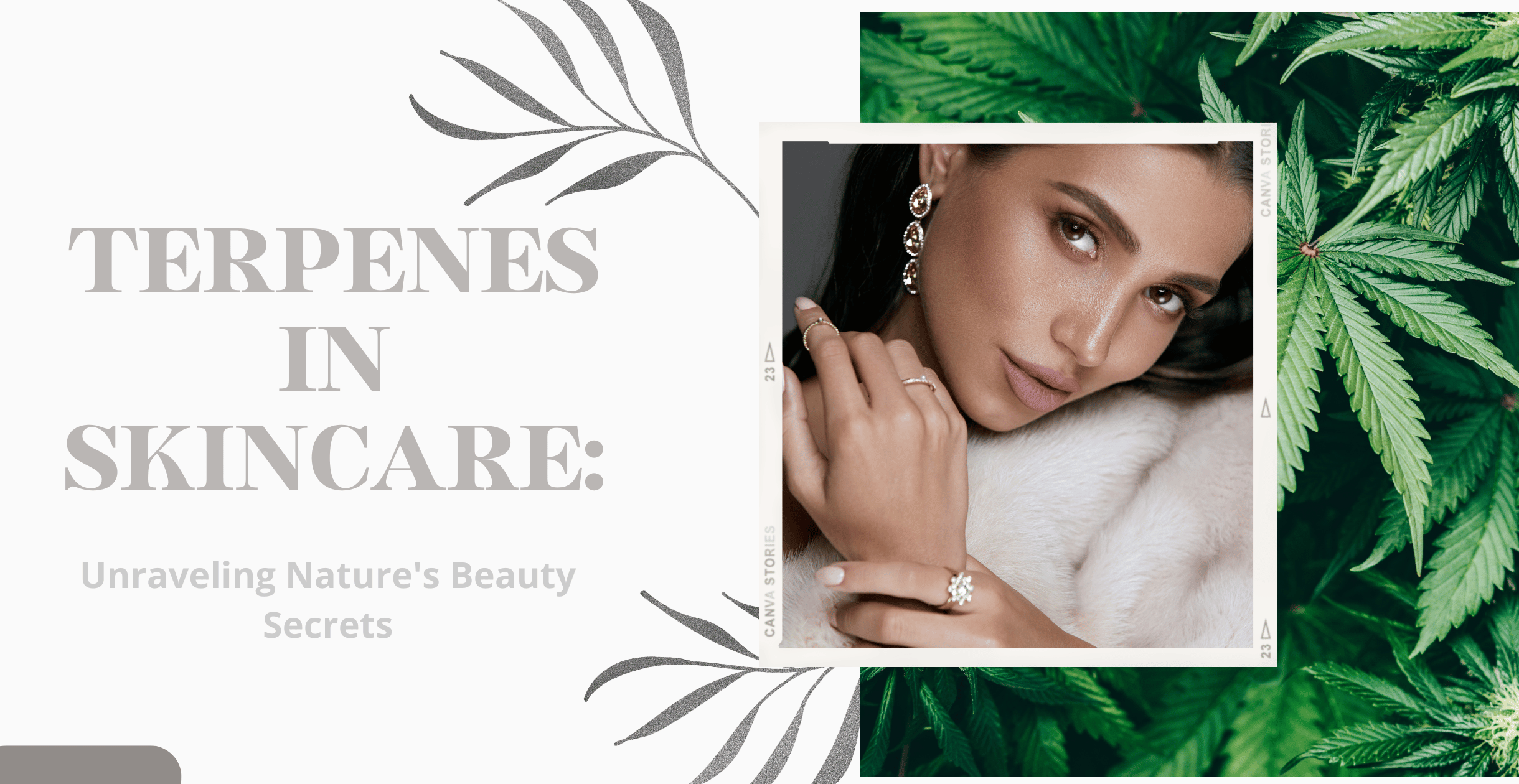 Terpenes in Skincare: Unraveling Nature's Beauty Secrets
