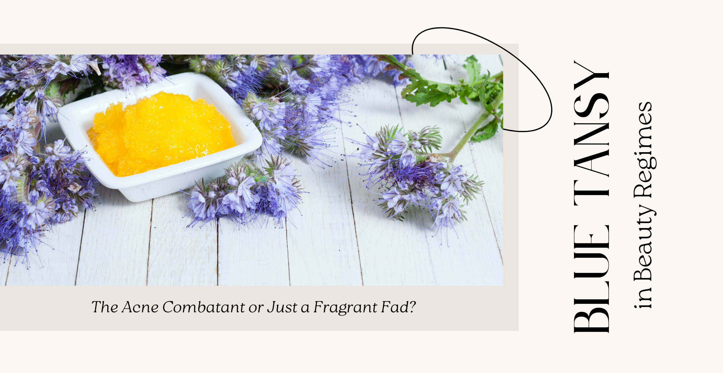Blue Tansy in Beauty Regimes: The Acne Combatant or Just a Fragrant Fad?