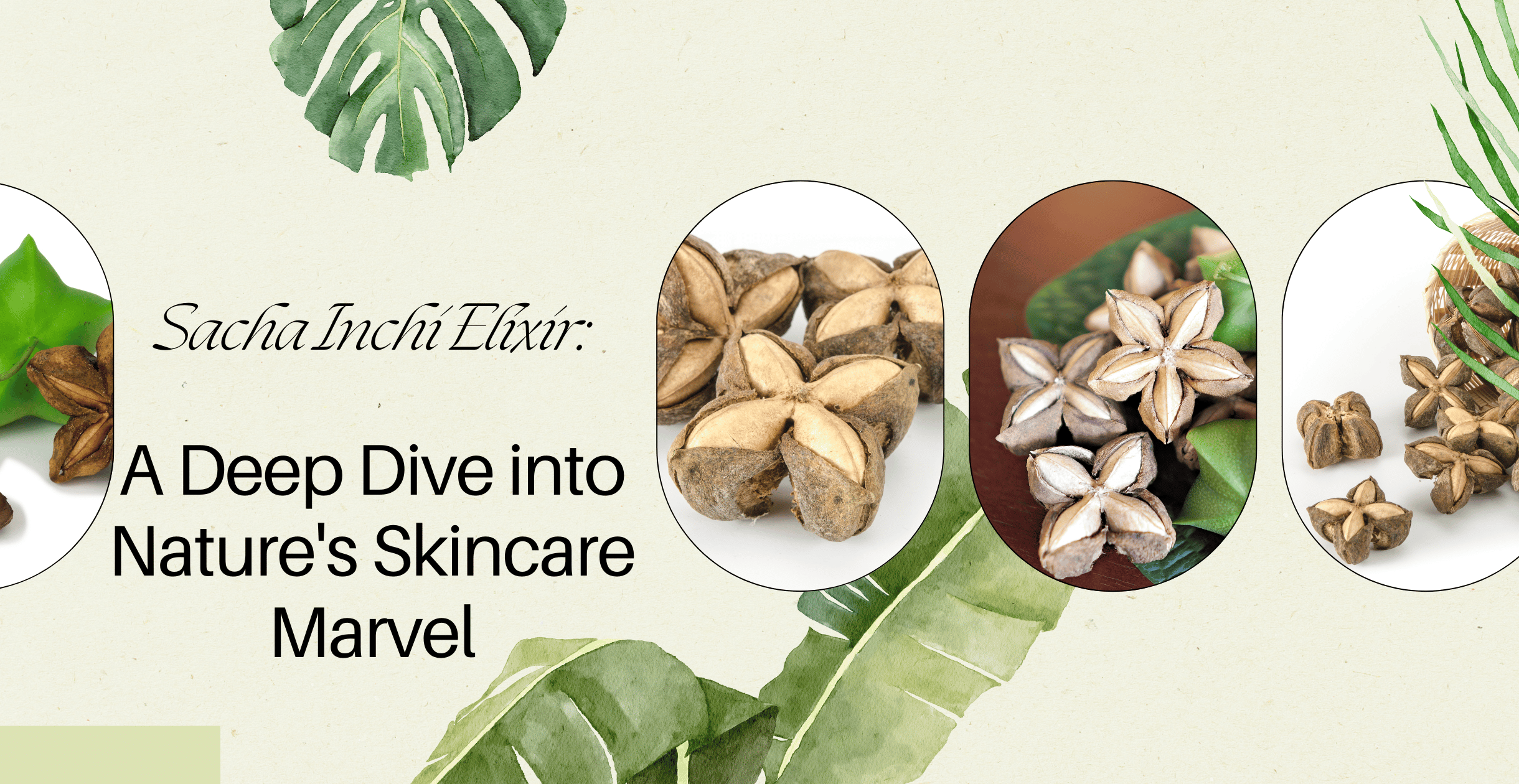 Sacha Inchi Elixir: A Deep Dive into Nature's Skincare Marvel