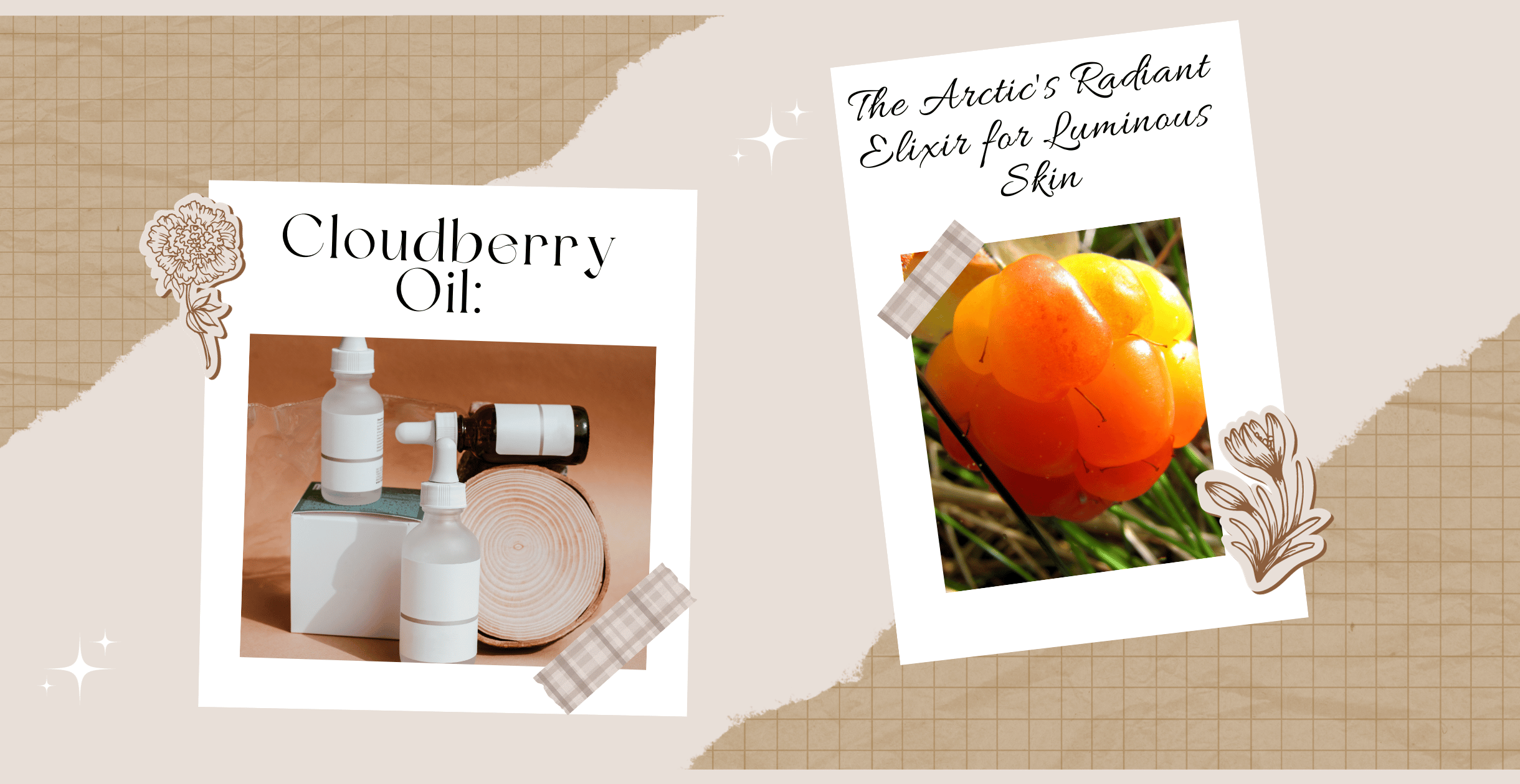 Cloudberry Oil: The Arctic's Radiant Elixir for Luminous Skin