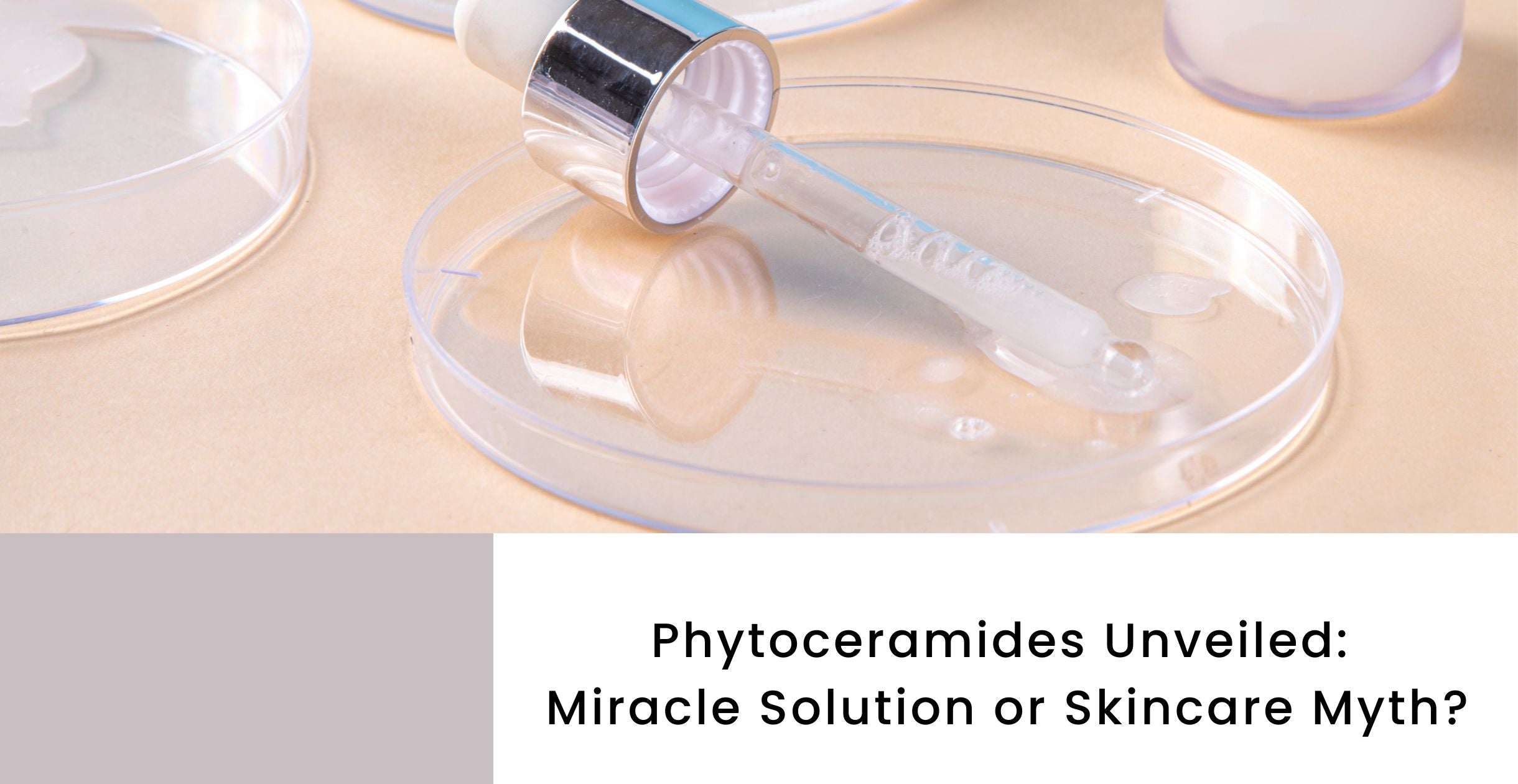 Phytoceramides Unveiled: Miracle Solution or Skincare Myth?