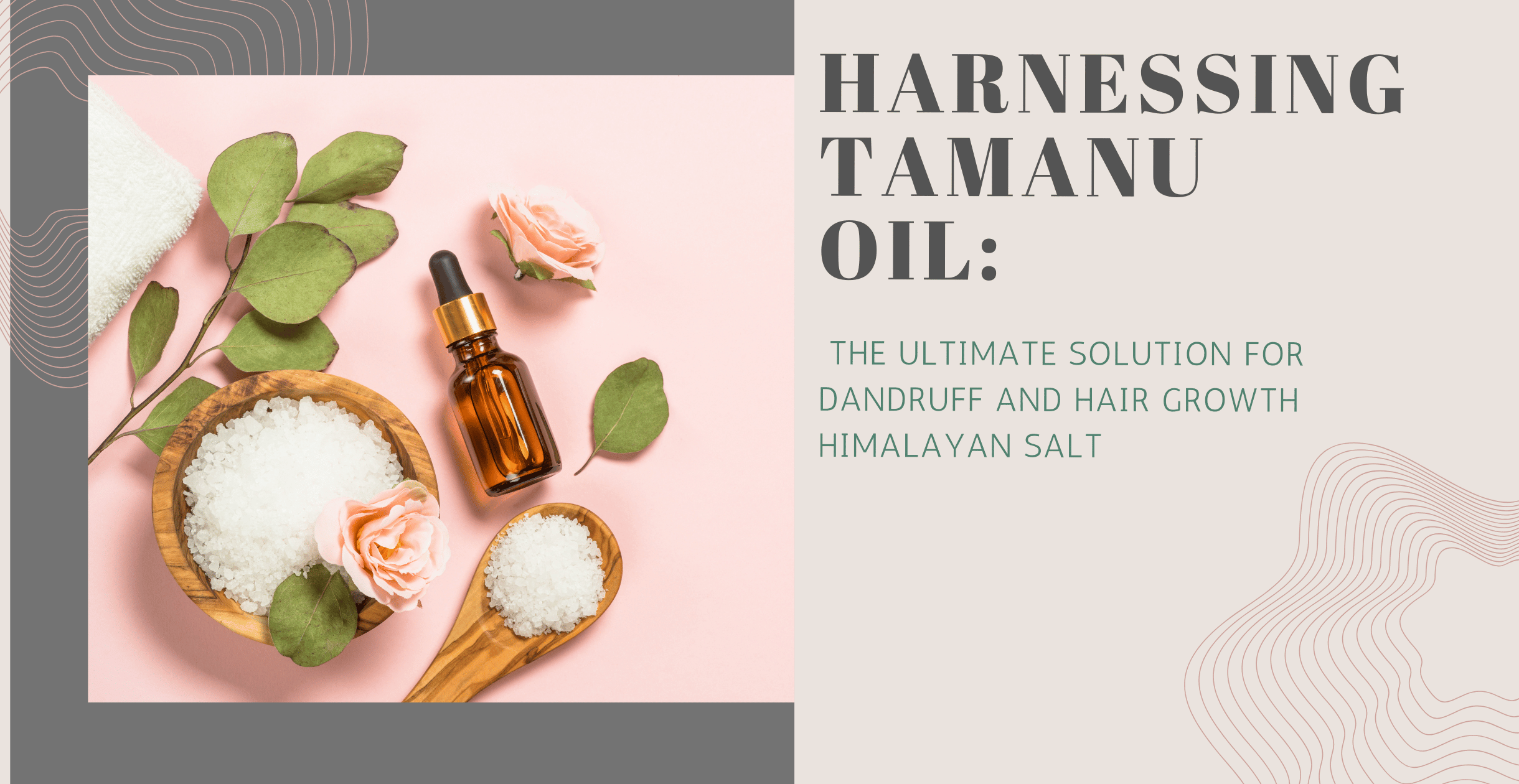 Harnessing Tamanu Oil: The Ultimate Solution for Dandruff and Hair Growth