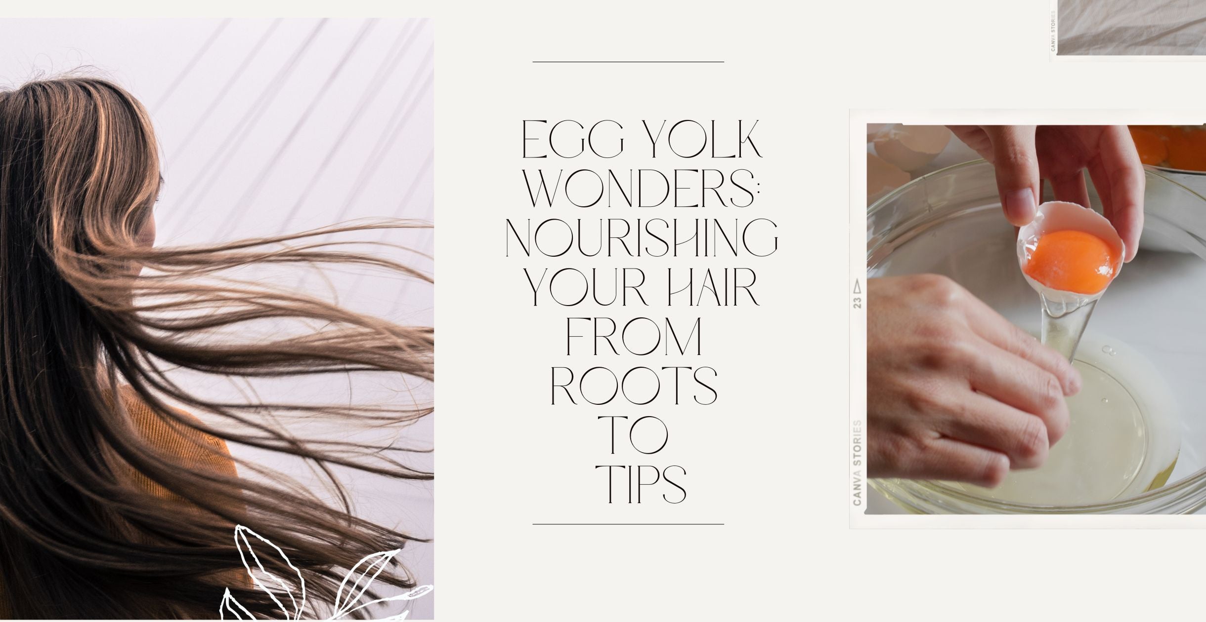 Egg Yolk Wonders: Nourishing Your Hair from Roots to Tips