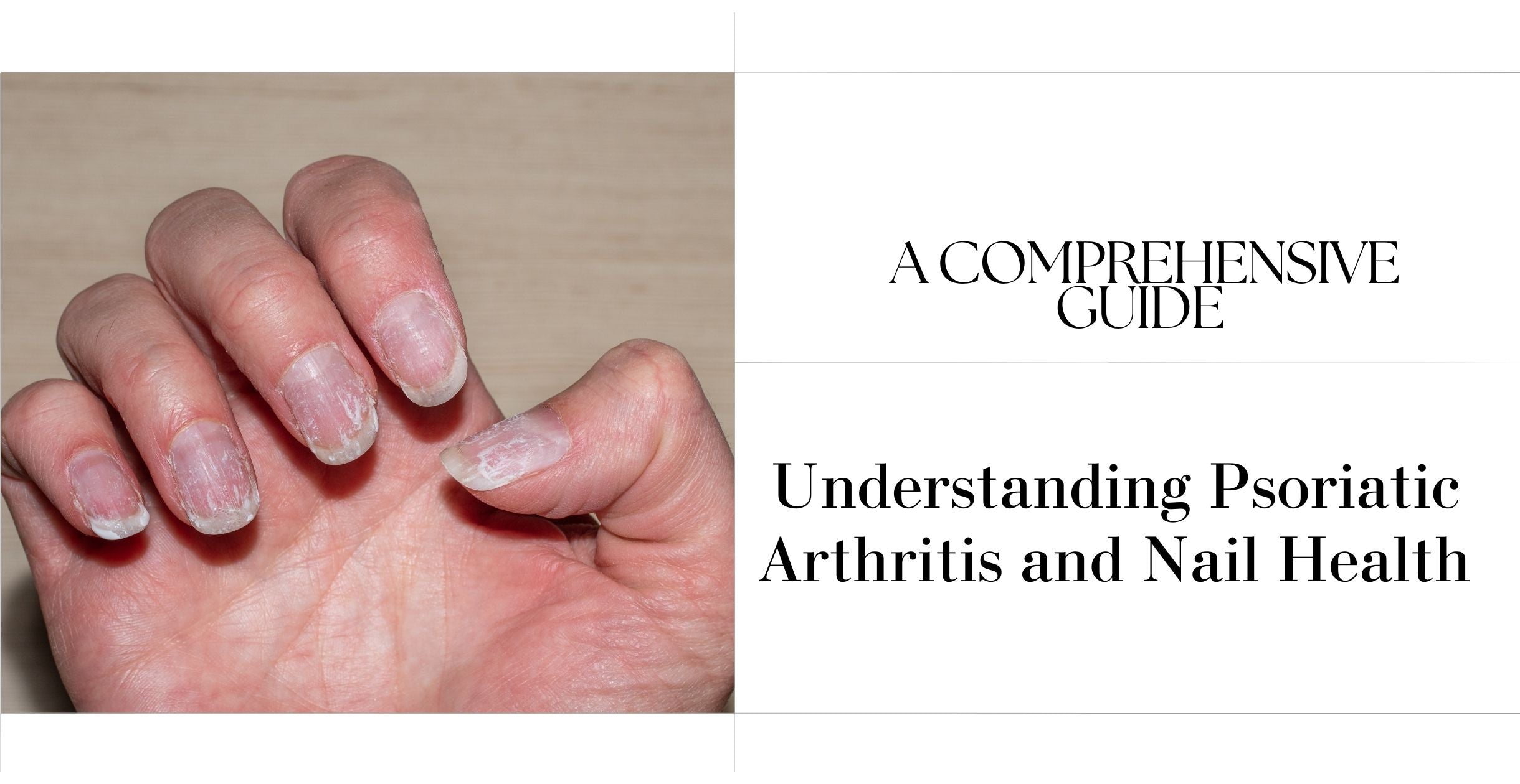  A Comprehensive Guide