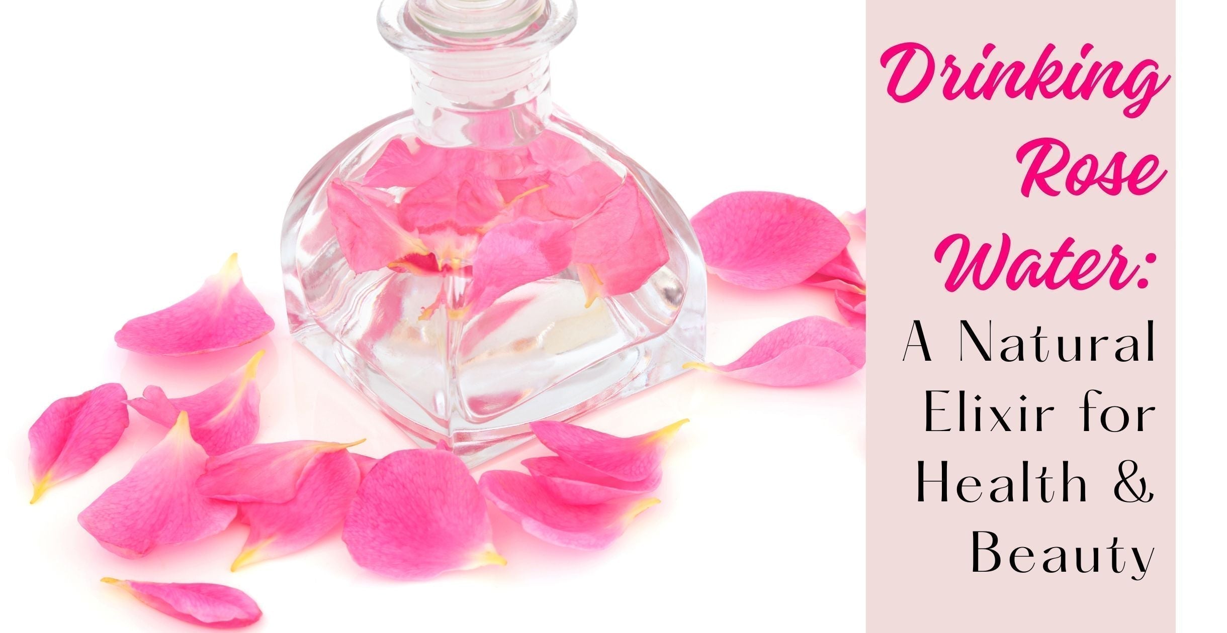 Drinking Rose Water: A Natural Elixir for Health & Beauty