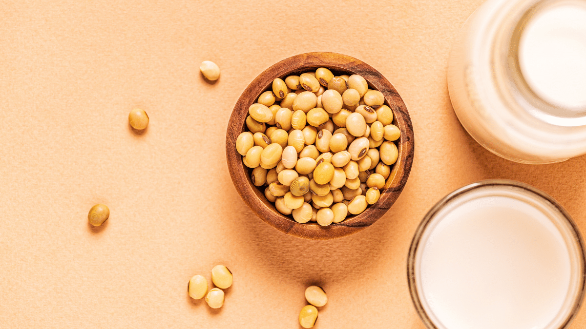 soy extract benefits