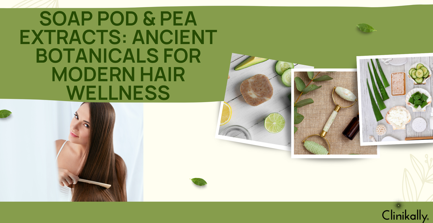 Soap Pod & Pea Extracts: Ancient Botanicals for Modern Hair Wellness