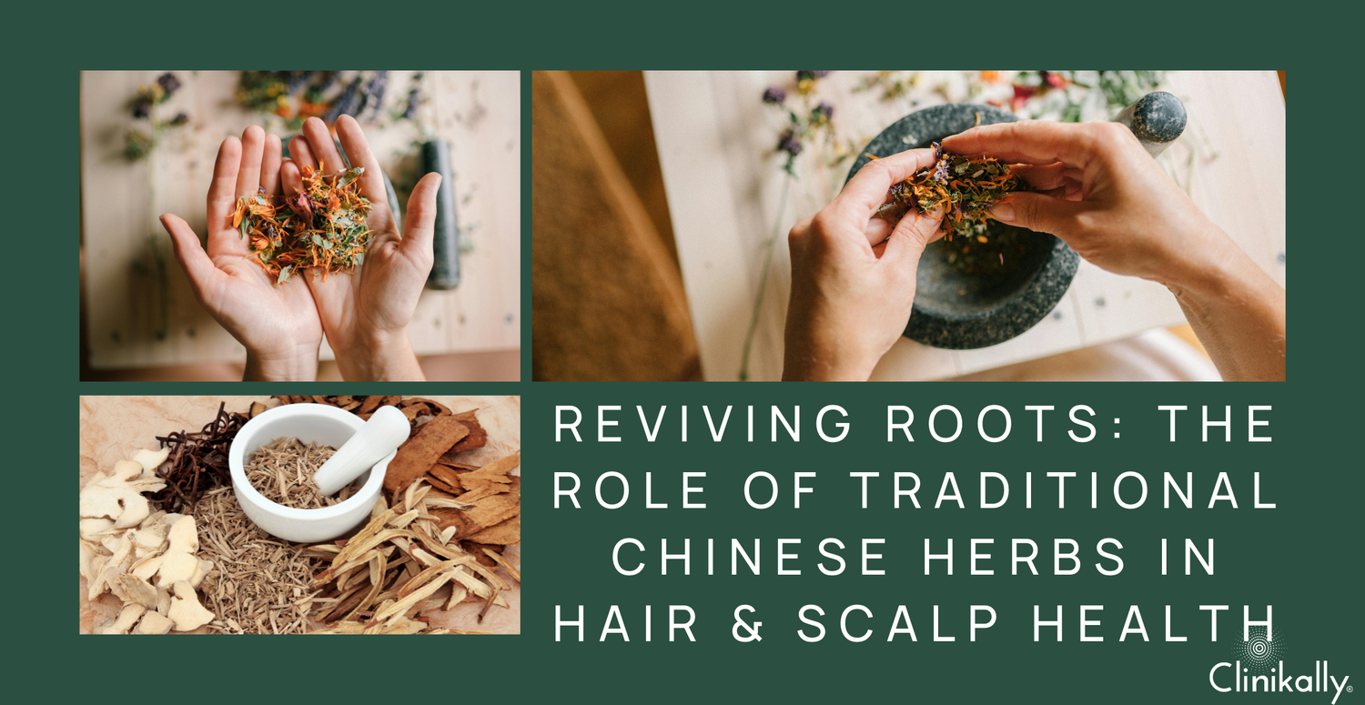 Reviving Roots: The Role of Traditional Chinese Herbs in Hair & Scalp Health