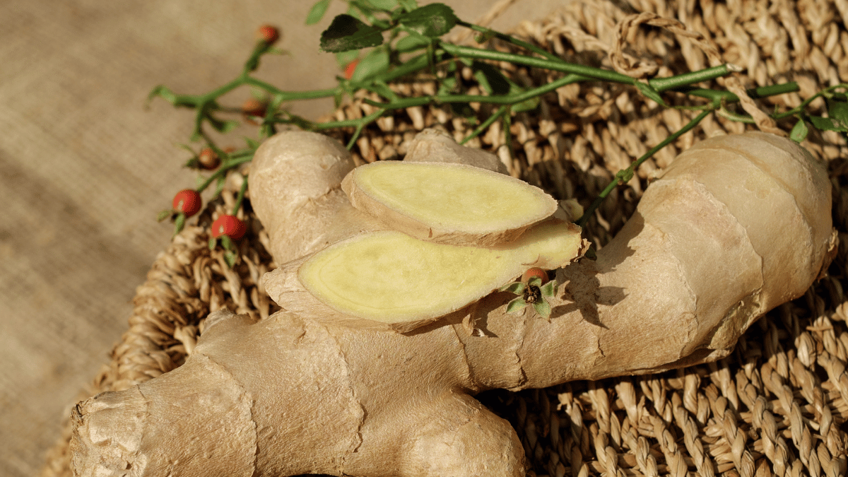 ginger root extract
