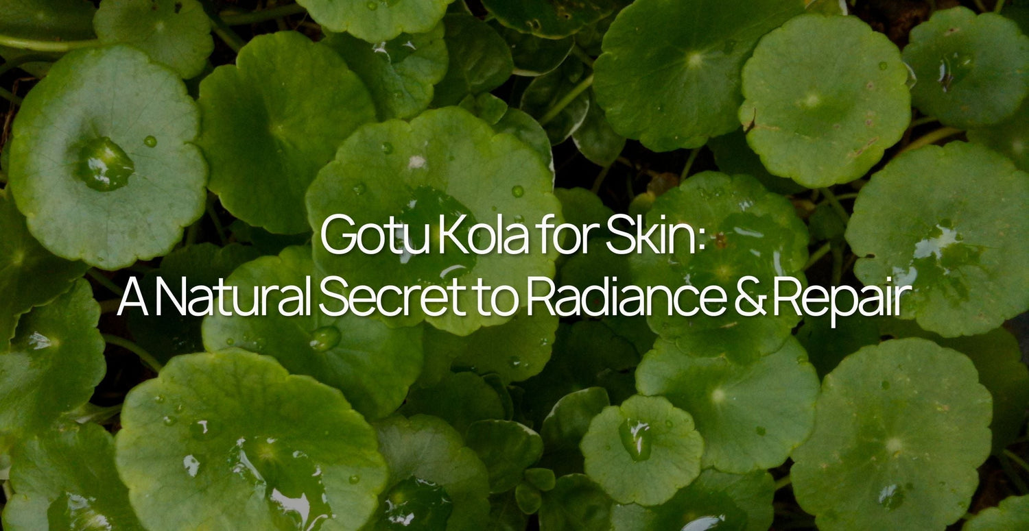 Gotu Kola for Skin: A Natural Secret to Radiance & Repair