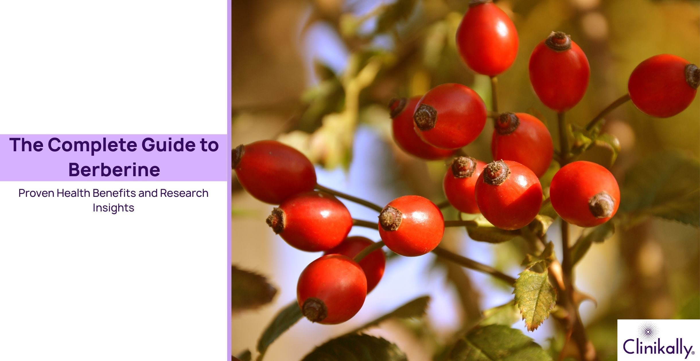 Complete Guide to Berberine