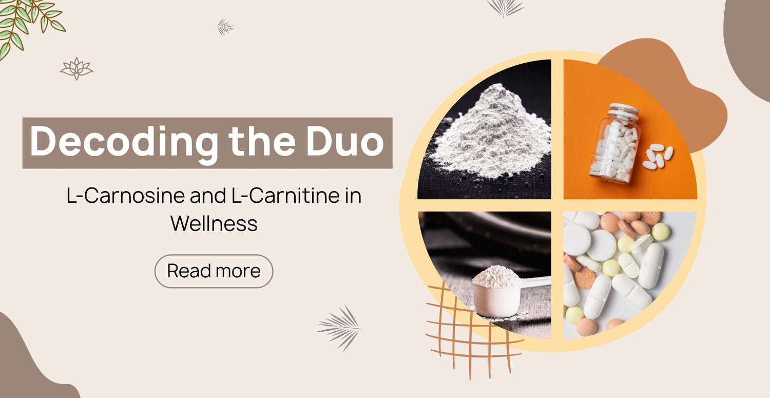 Decoding the Duo: L-Carnosine and L-Carnitine in Wellness