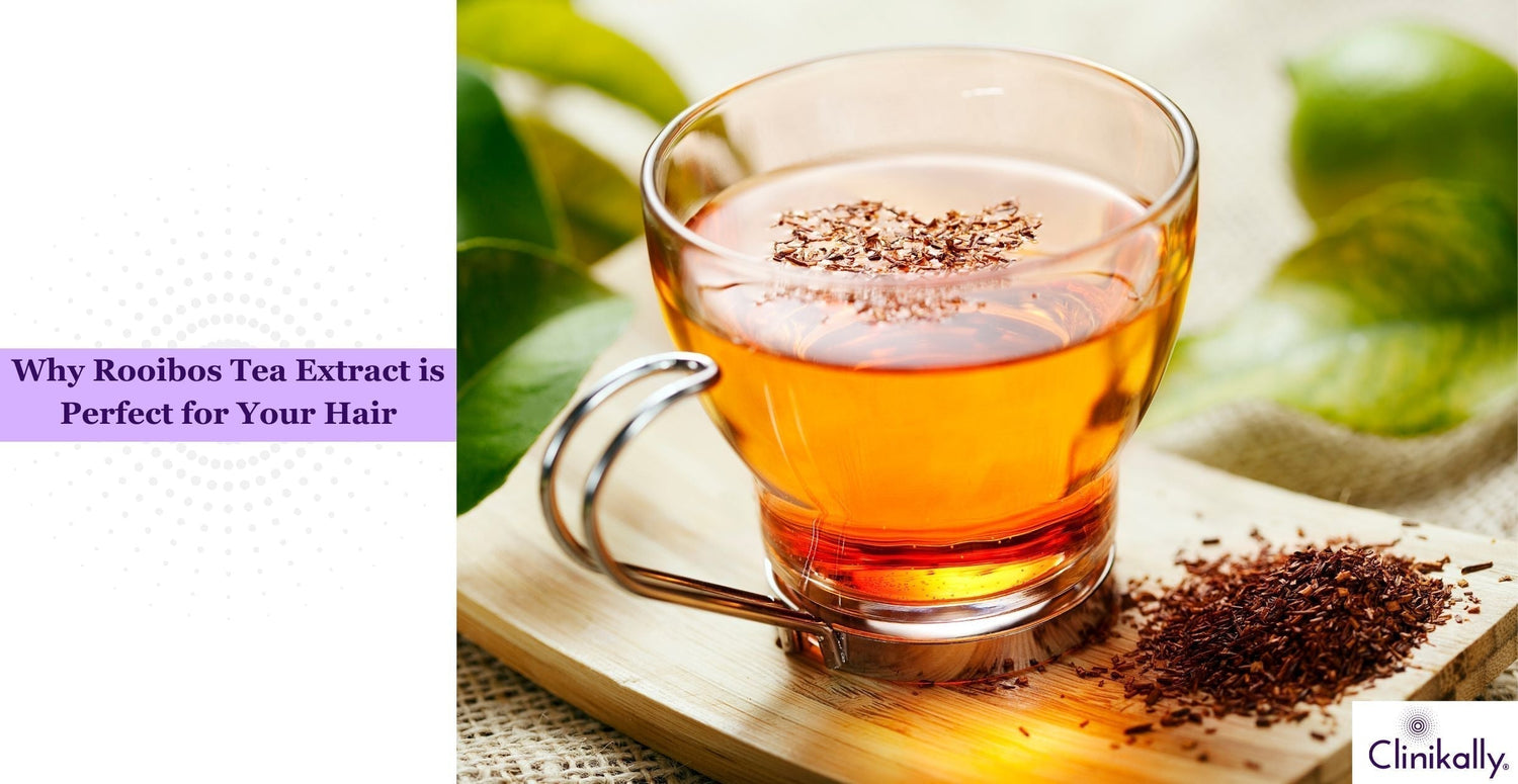 Why Rooibos Tea Extract is Perfect for Your Hair