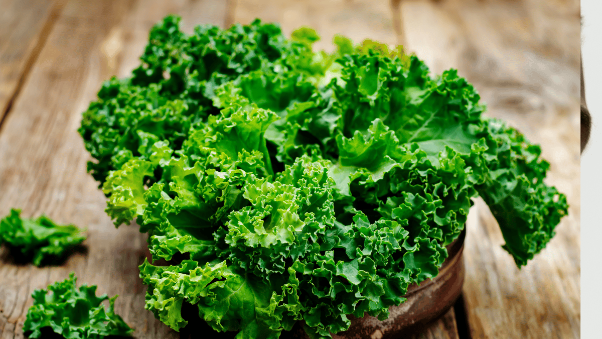 kale extract for skin