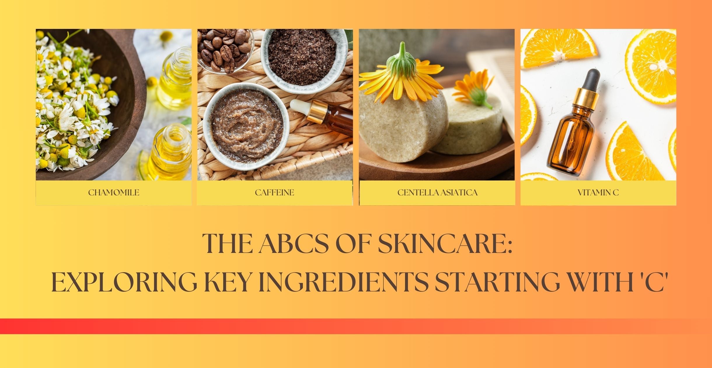 The ABCs of Skincare: Exploring Key Ingredients Starting with 'C'