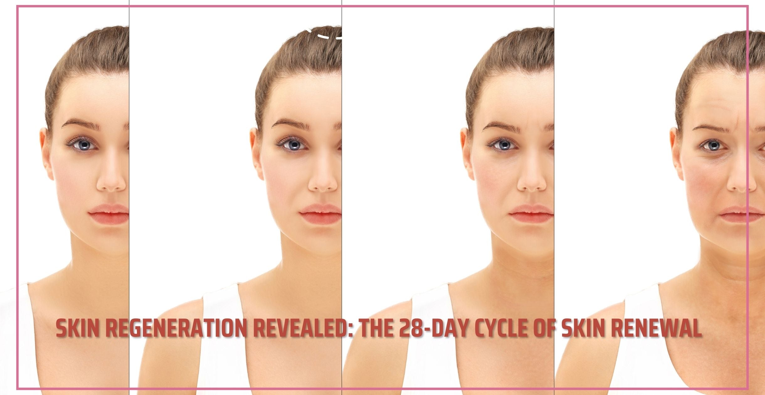 Skin Regeneration Revealed: The 28-Day Cycle of Skin Renewal