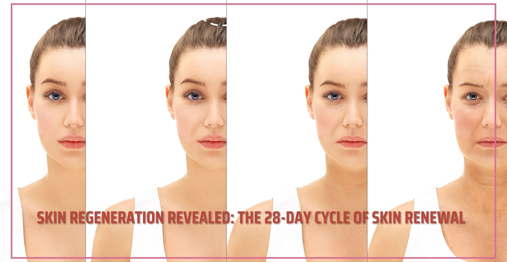 Skin Regeneration Revealed: The 28-Day Cycle of Skin Renewal | Clinikally
