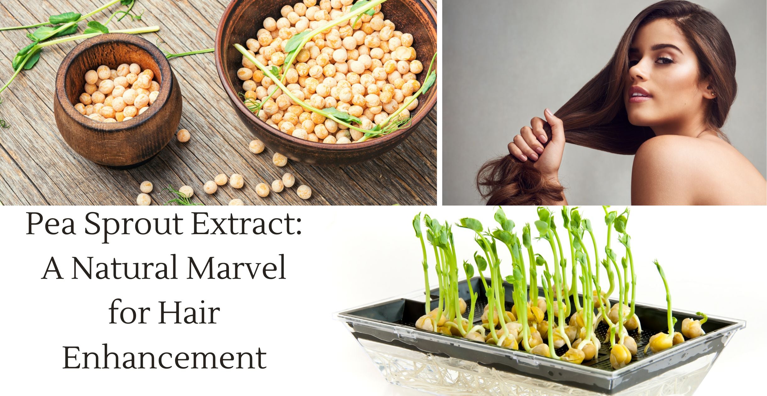 Pea Sprout Extract: A Natural Marvel for Hair Enhancement