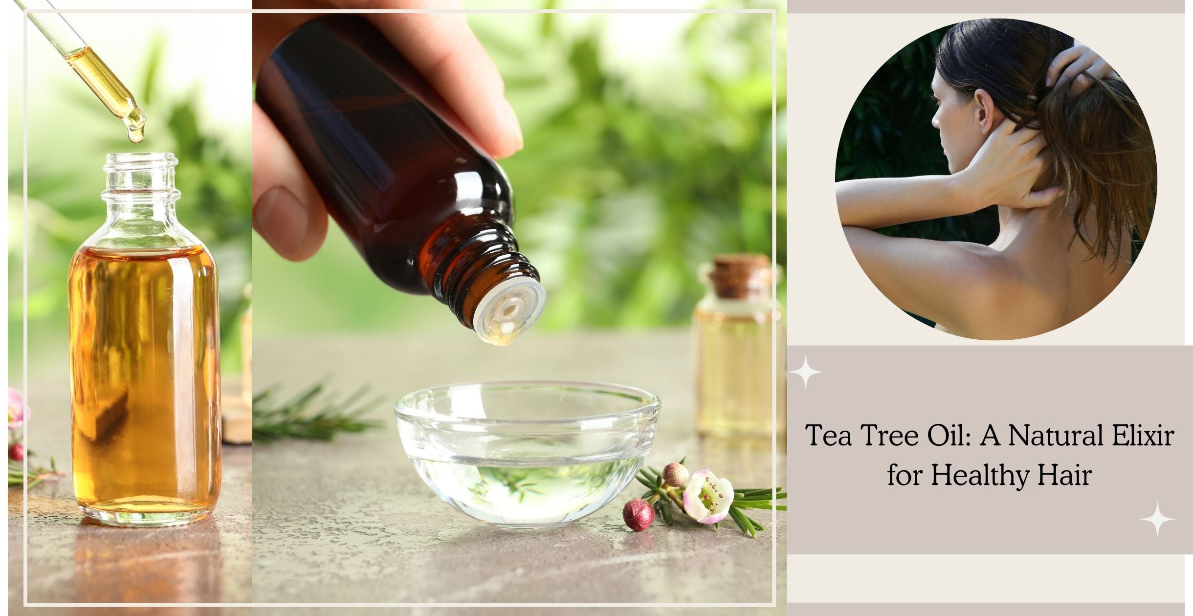Tea Tree Oil: A Natural Elixir for Healthy Hair