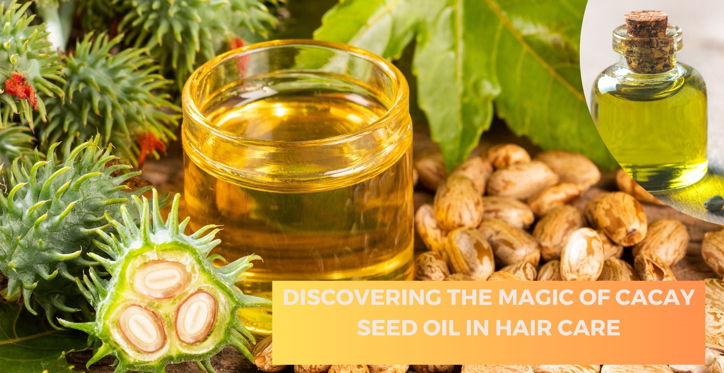 Discovering the Magic of Cacay Seed Oil in Hair Care