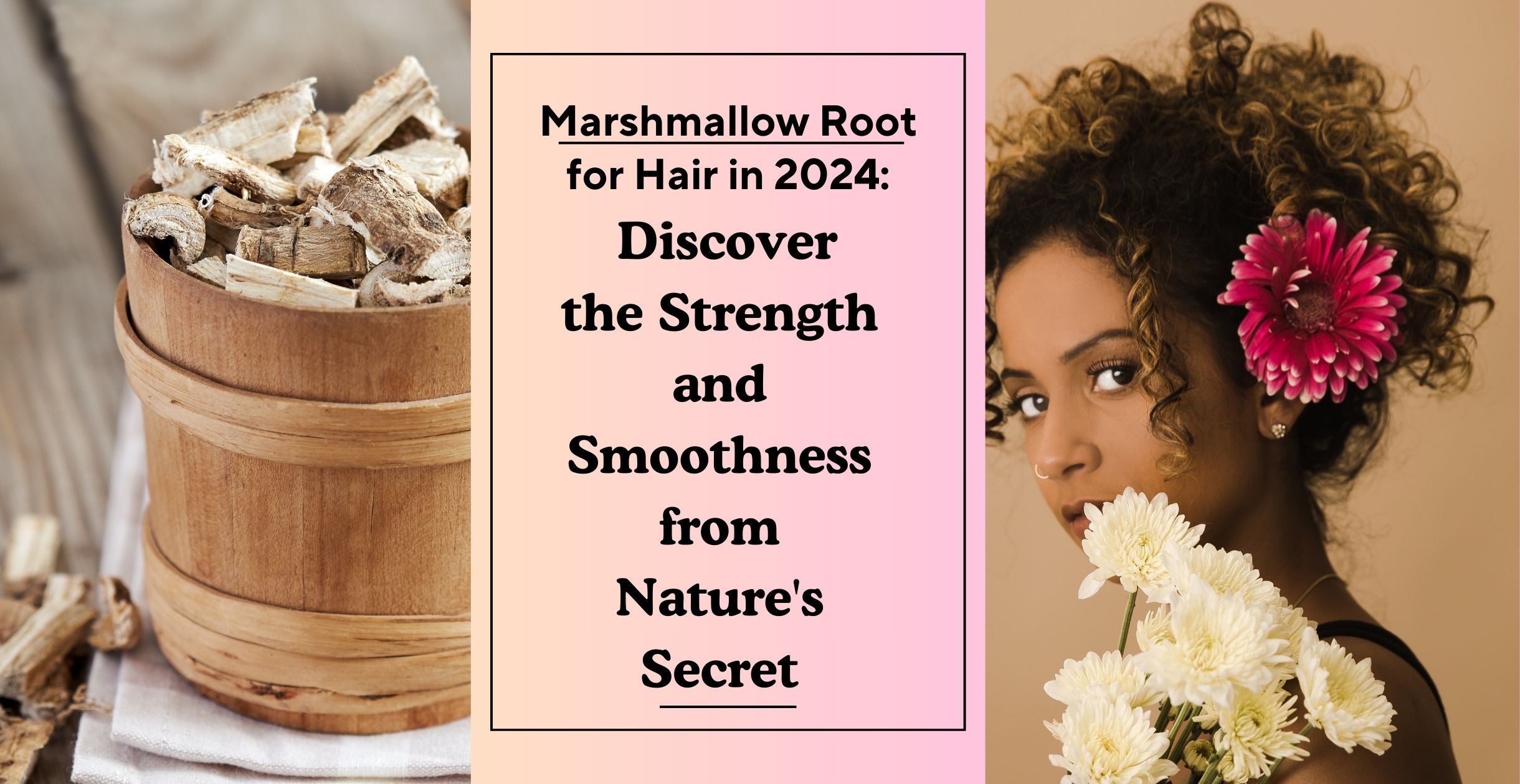Marshmallow Root for Hair in 2024: Discover the Strength and Smoothness from Nature's Secret