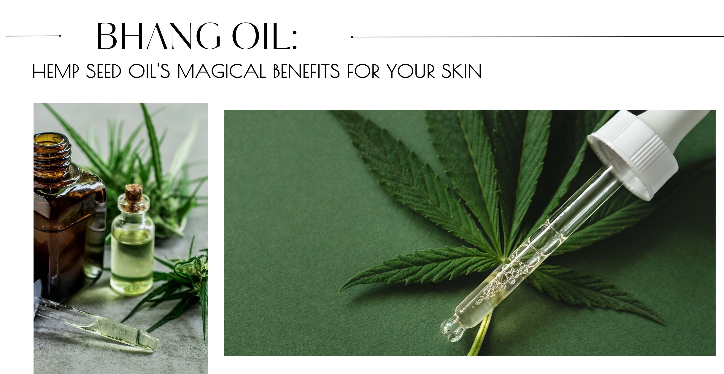 Bhang Oil: Hemp Seed Oil's Magical Benefits for Your Skin