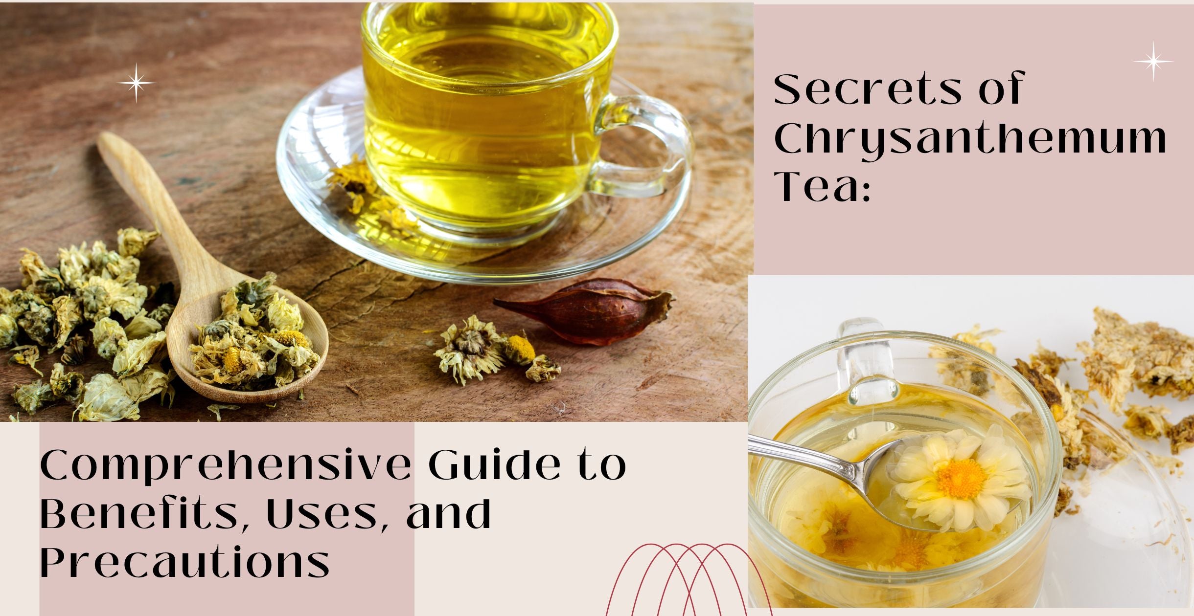 Secrets of Chrysanthemum Tea: Comprehensive Guide to Benefits, Uses, and Precautions