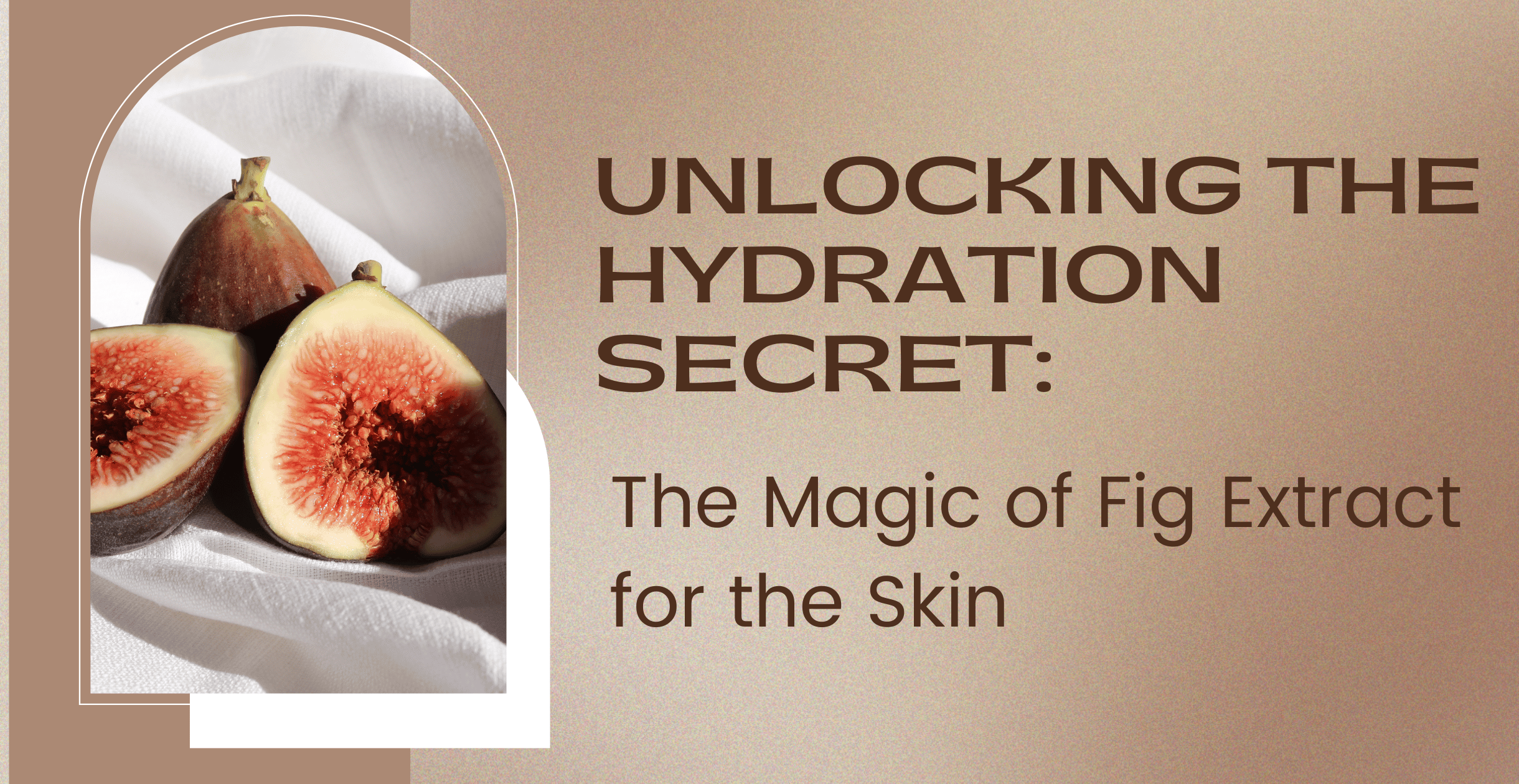 Unlocking the Hydration Secret: The Magic of Fig Extract for the Skin