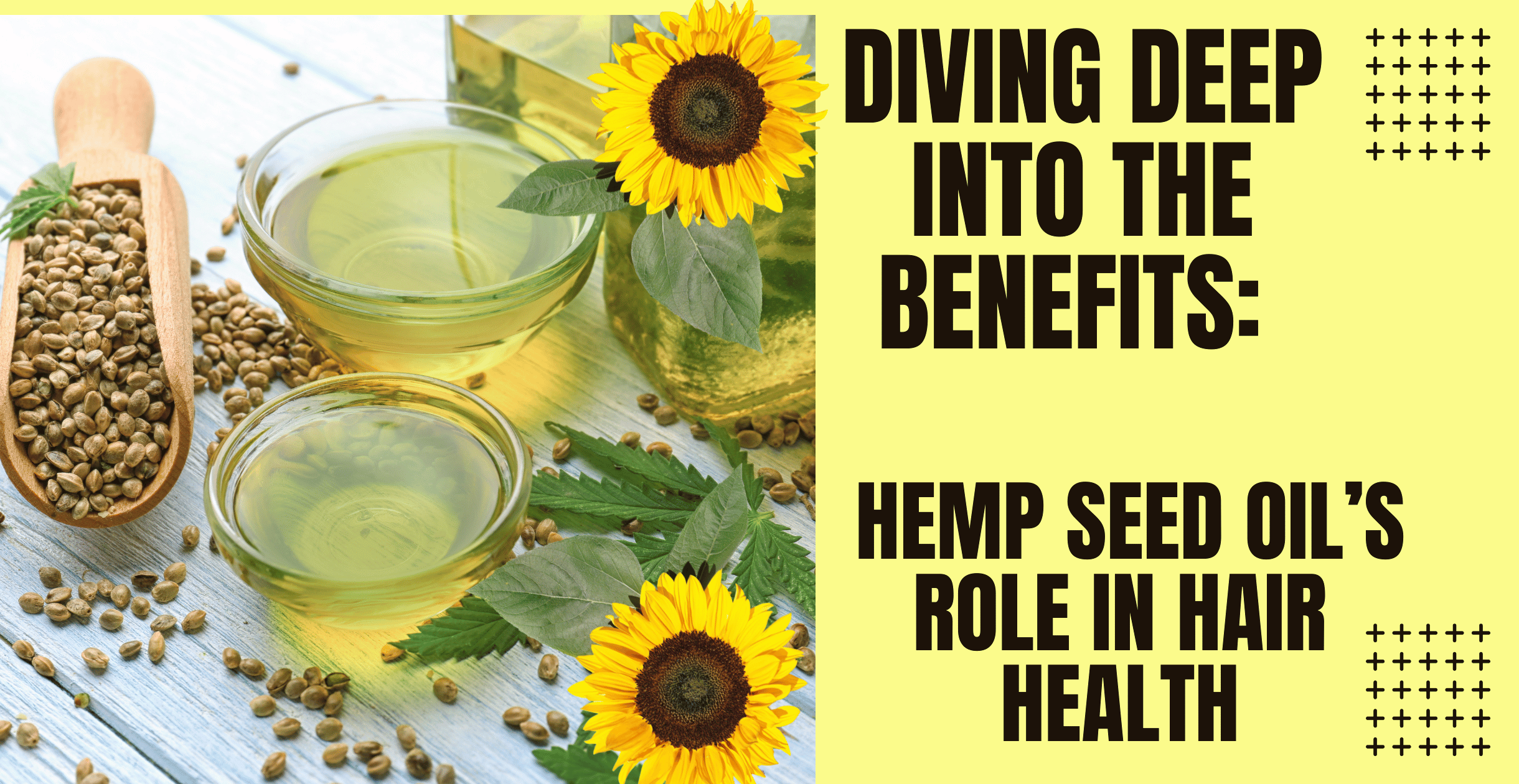Diving Deep into the Benefits: Hemp Seed Oil’s Role in Hair Health