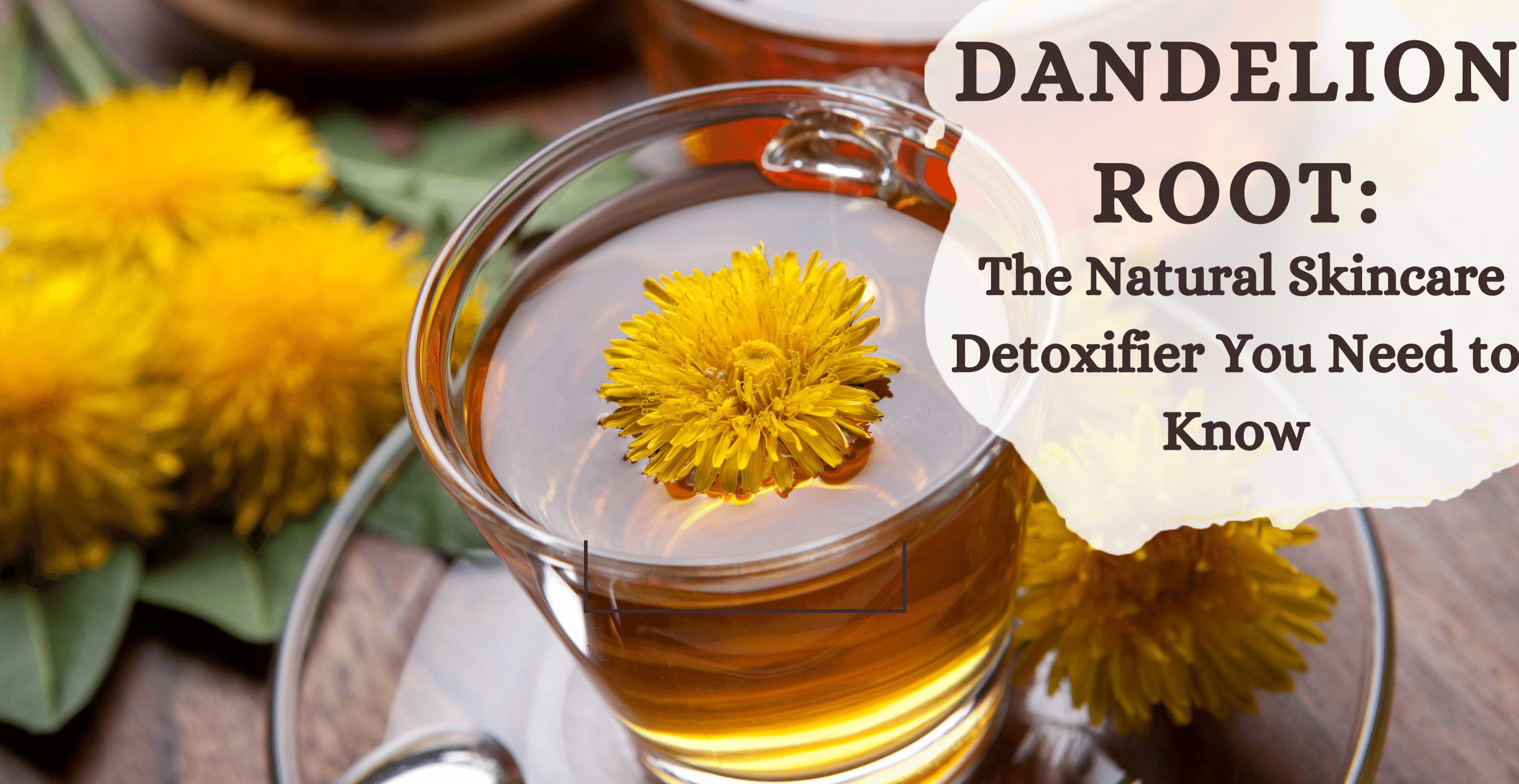 Dandelion Root: The Natural Skincare Detoxifier You Need to Know